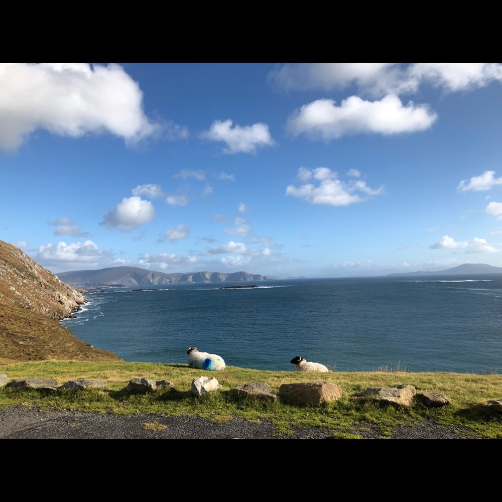 Meet your Posher, Peggy